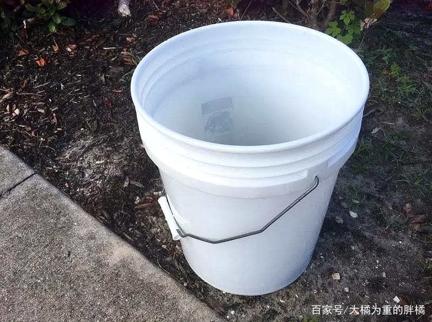 狗狗总是“拉稀”?其中的这5个原因,你真正了解过没?